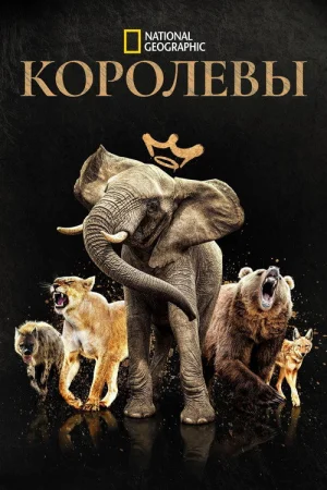 Королевы 1 сезон