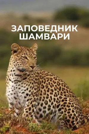 Заповедник Шамвари 1 сезон